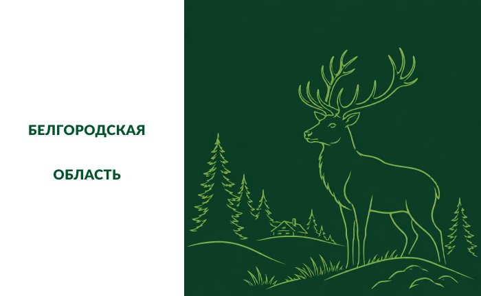 В Белгородской области временно приостановлен приём гостей