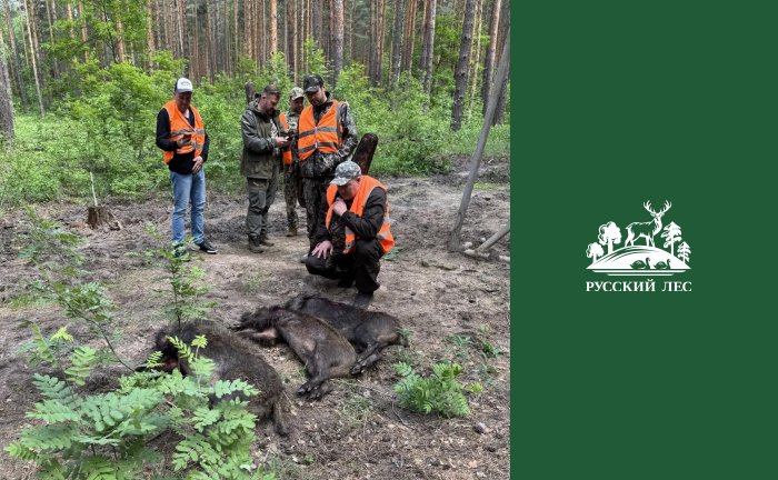 Делимся результатами охоты в наших охотугодьях